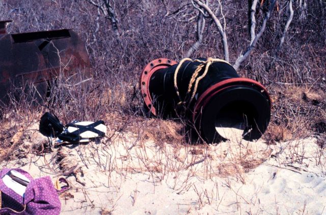 Waquoit Bay National Estuarine Research Reserve Picture