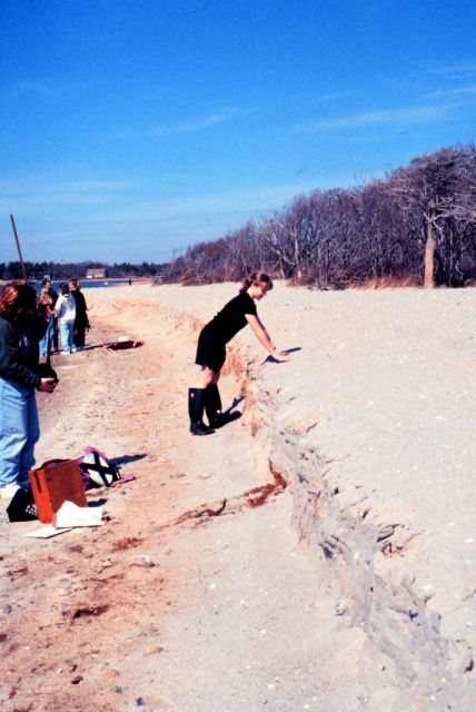 Waquoit Bay National Estuarine Research Reserve Picture