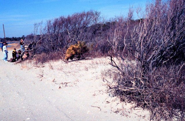 Waquoit Bay National Estuarine Research Reserve Picture