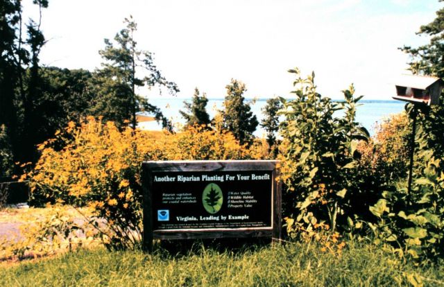 Chesapeake Bay - Virginia National Estuarine Research Reserve. Picture