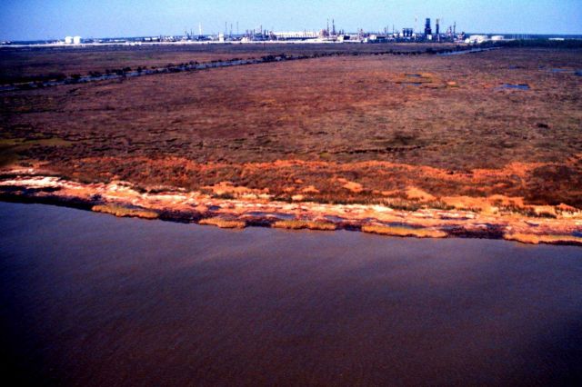 Grand Bay National Estuarine Research Reserve Picture