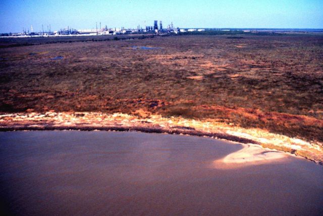 Grand Bay National Estuarine Research Reserve Picture