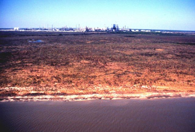 Grand Bay National Estuarine Research Reserve Picture