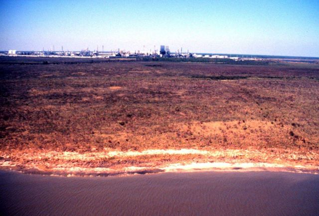 Grand Bay National Estuarine Research Reserve Picture