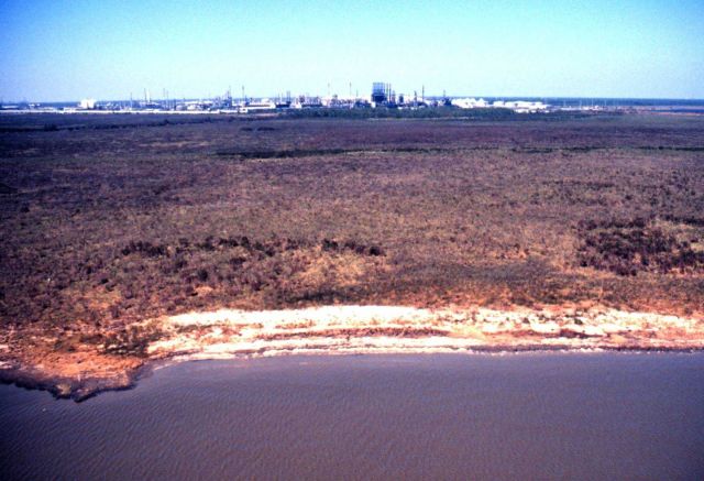 Grand Bay National Estuarine Research Reserve Picture