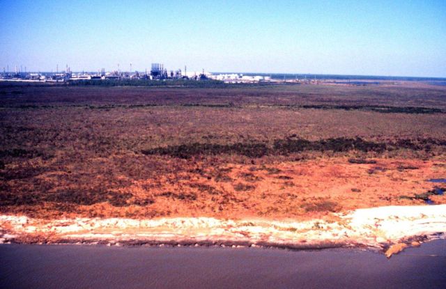 Grand Bay National Estuarine Research Reserve Picture
