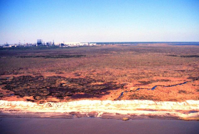 Grand Bay National Estuarine Research Reserve Picture