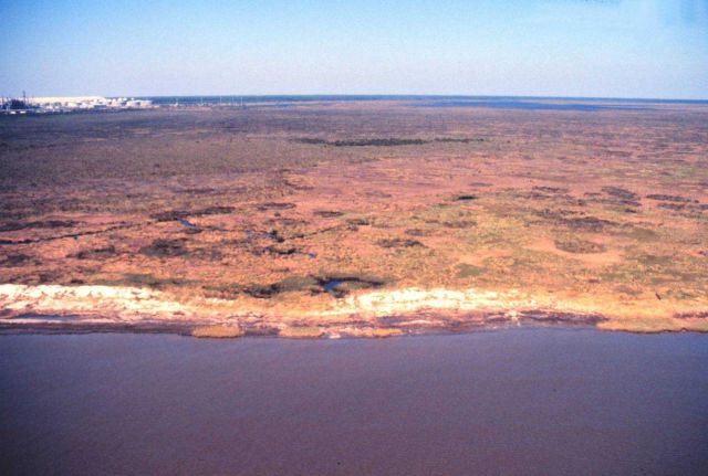 Grand Bay National Estuarine Research Reserve Picture