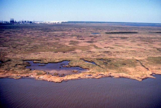 Grand Bay National Estuarine Research Reserve Picture