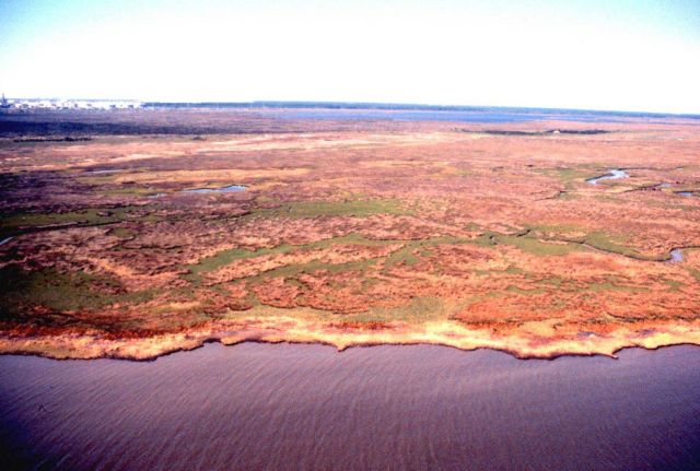 Grand Bay National Estuarine Research Reserve Picture