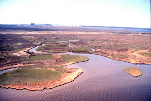 Grand Bay National Estuarine Research Reserve Picture