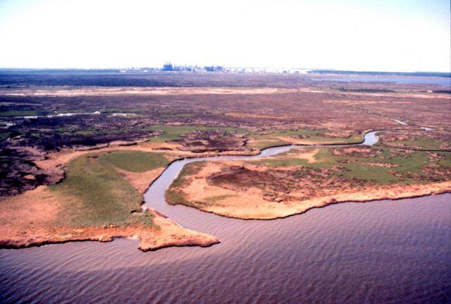 Grand Bay National Estuarine Research Reserve Picture