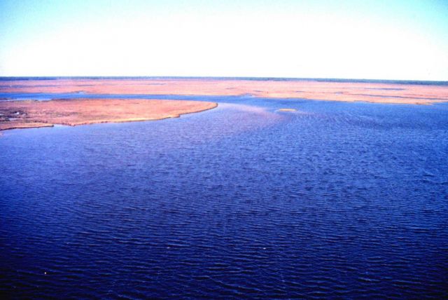 Grand Bay National Estuarine Research Reserve Picture