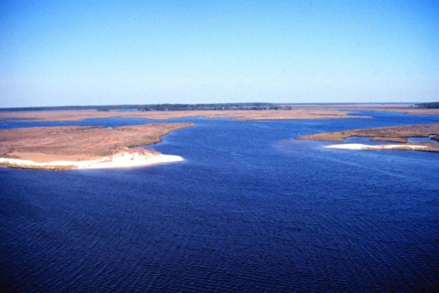 Grand Bay National Estuarine Research Reserve Picture