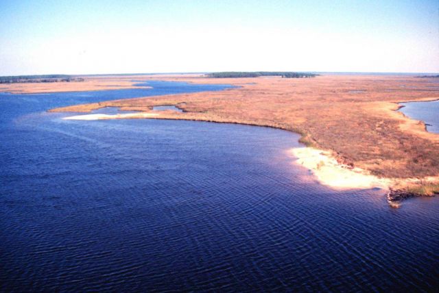 Grand Bay National Estuarine Research Reserve Picture