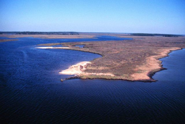 Grand Bay National Estuarine Research Reserve Picture
