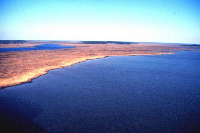 Grand Bay National Estuarine Research Reserve Picture