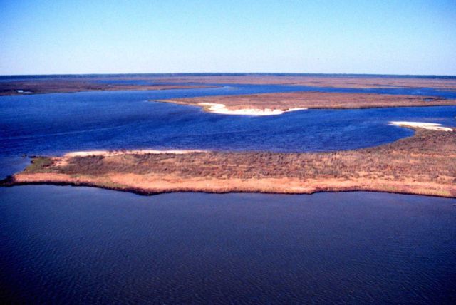 Grand Bay National Estuarine Research Reserve Picture