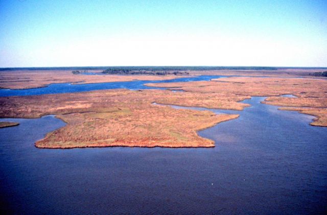 Grand Bay National Estuarine Research Reserve Picture