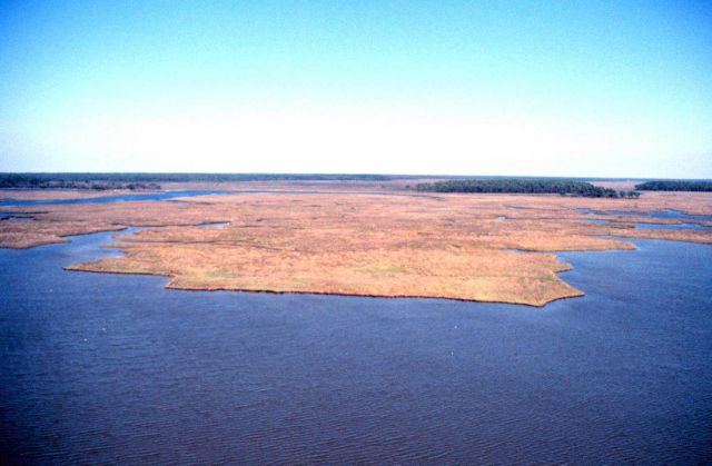 Grand Bay National Estuarine Research Reserve Picture