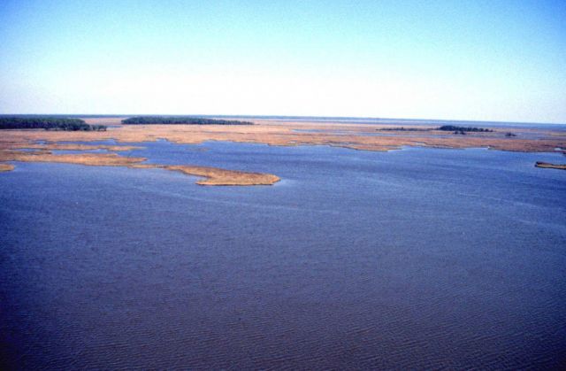 Grand Bay National Estuarine Research Reserve Picture