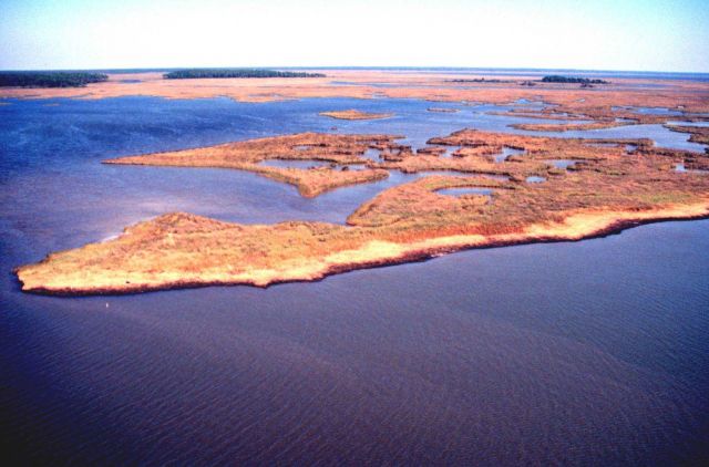 Grand Bay National Estuarine Research Reserve Picture