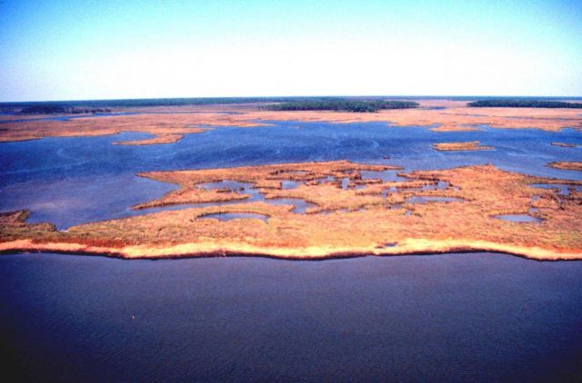 Grand Bay National Estuarine Research Reserve Picture
