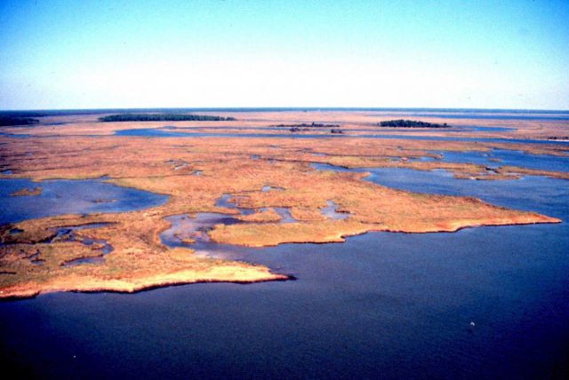 Grand Bay National Estuarine Research Reserve Picture