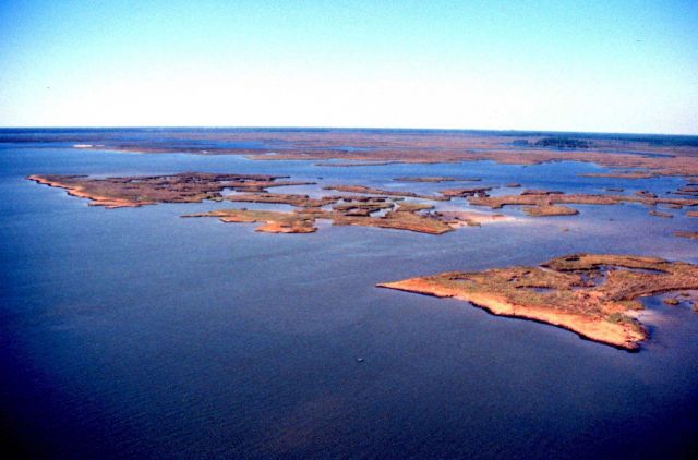 Grand Bay National Estuarine Research Reserve Picture