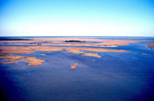Grand Bay National Estuarine Research Reserve Picture