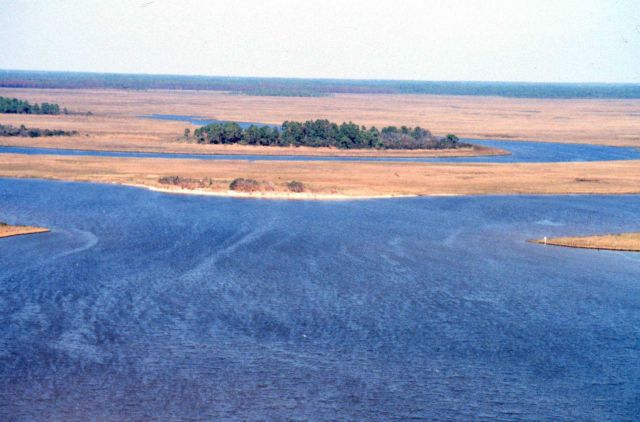 Grand Bay National Estuarine Research Reserve Picture