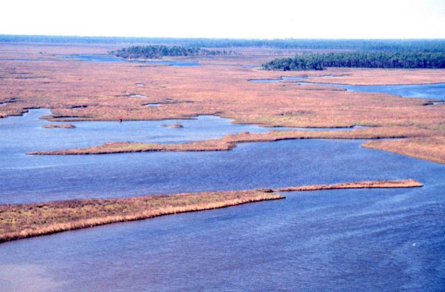 Grand Bay National Estuarine Research Reserve Picture