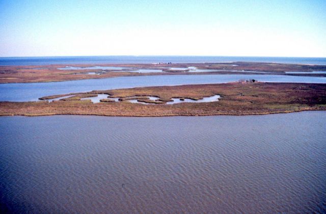Grand Bay National Estuarine Research Reserve Picture