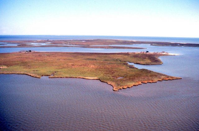 Grand Bay National Estuarine Research Reserve Picture