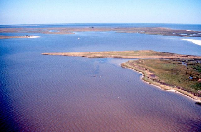 Grand Bay National Estuarine Research Reserve Picture