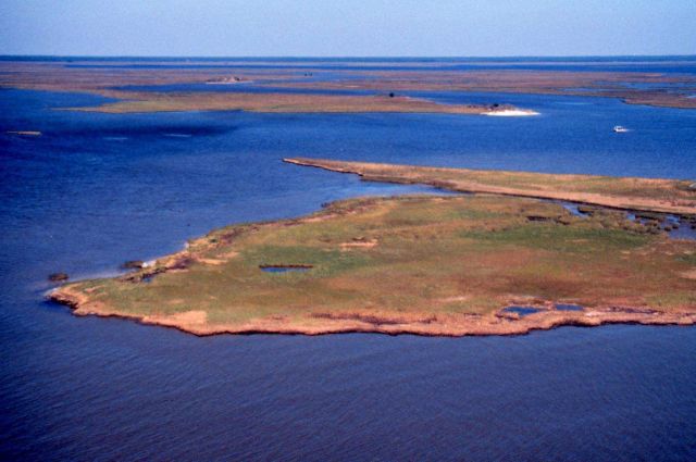 Grand Bay National Estuarine Research Reserve Picture