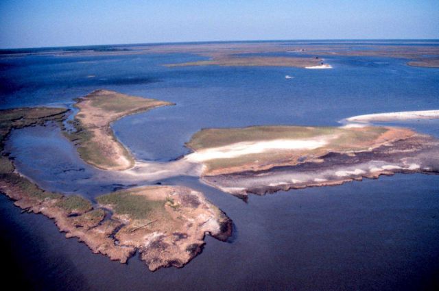 Grand Bay National Estuarine Research Reserve Picture
