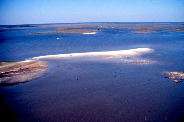 Grand Bay National Estuarine Research Reserve Picture