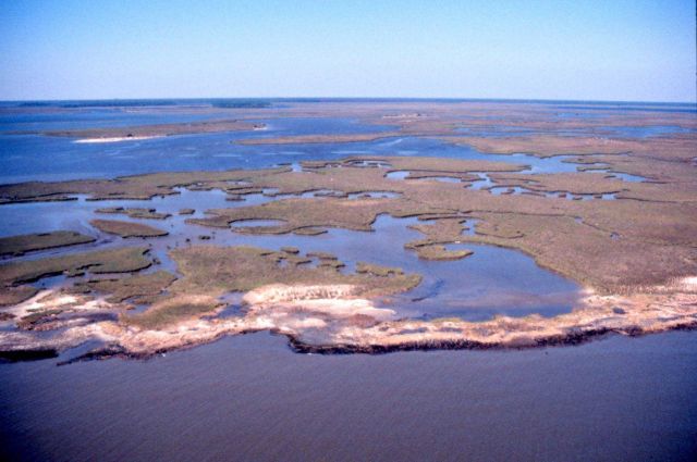 Grand Bay National Estuarine Research Reserve Picture