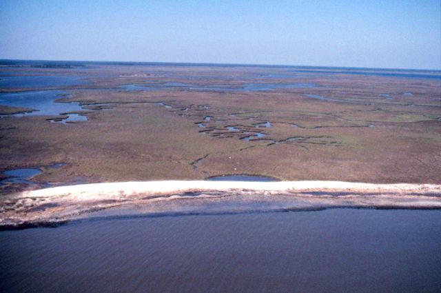 Grand Bay National Estuarine Research Reserve Picture