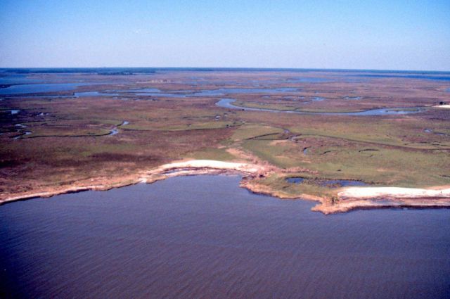 Grand Bay National Estuarine Research Reserve Picture