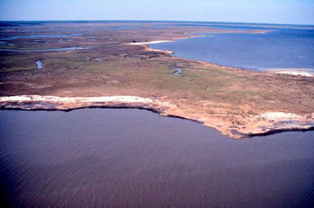 Grand Bay National Estuarine Research Reserve Picture