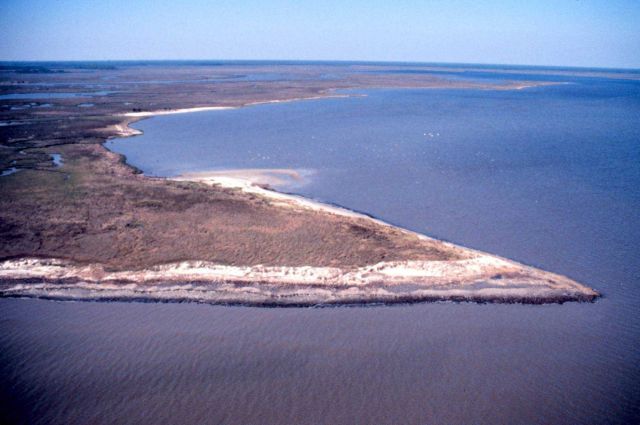 Grand Bay National Estuarine Research Reserve Picture