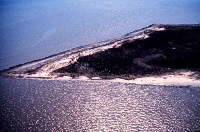 Grand Bay National Estuarine Research Reserve Picture