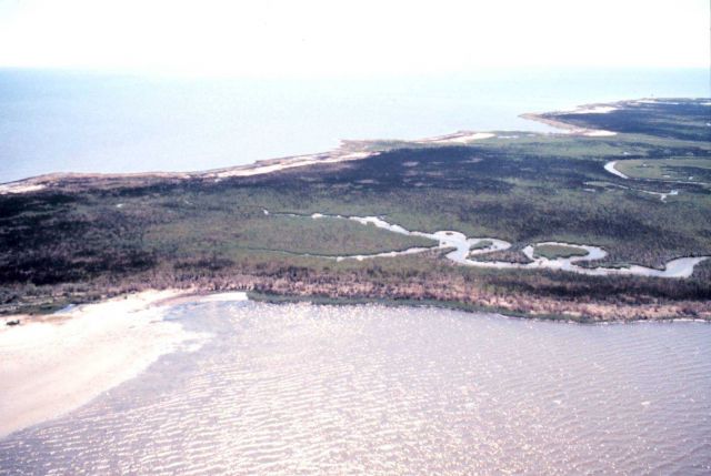 Grand Bay National Estuarine Research Reserve Picture