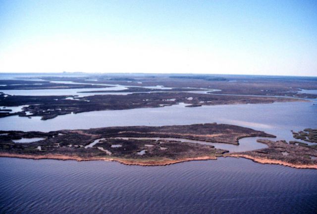 Grand Bay National Estuarine Research Reserve Picture