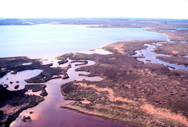 Grand Bay National Estuarine Research Reserve Picture