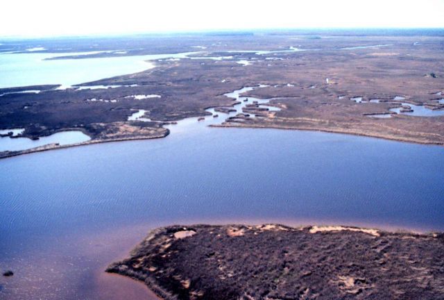 Grand Bay National Estuarine Research Reserve Picture