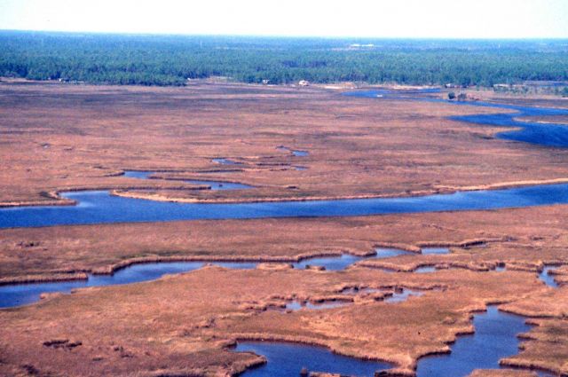 Grand Bay National Estuarine Research Reserve Picture