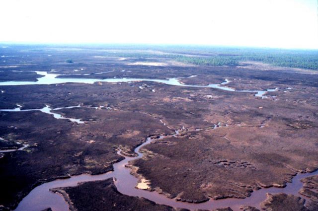 Grand Bay National Estuarine Research Reserve Picture